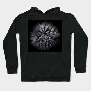 Backyard Flowers In Black And White 68 Flow Version Hoodie